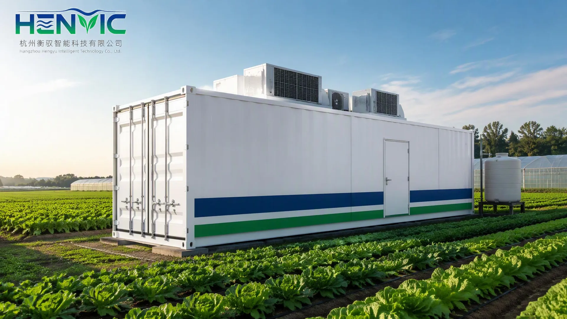 Container-Based Vegetable Cultivation: Core | Henvic