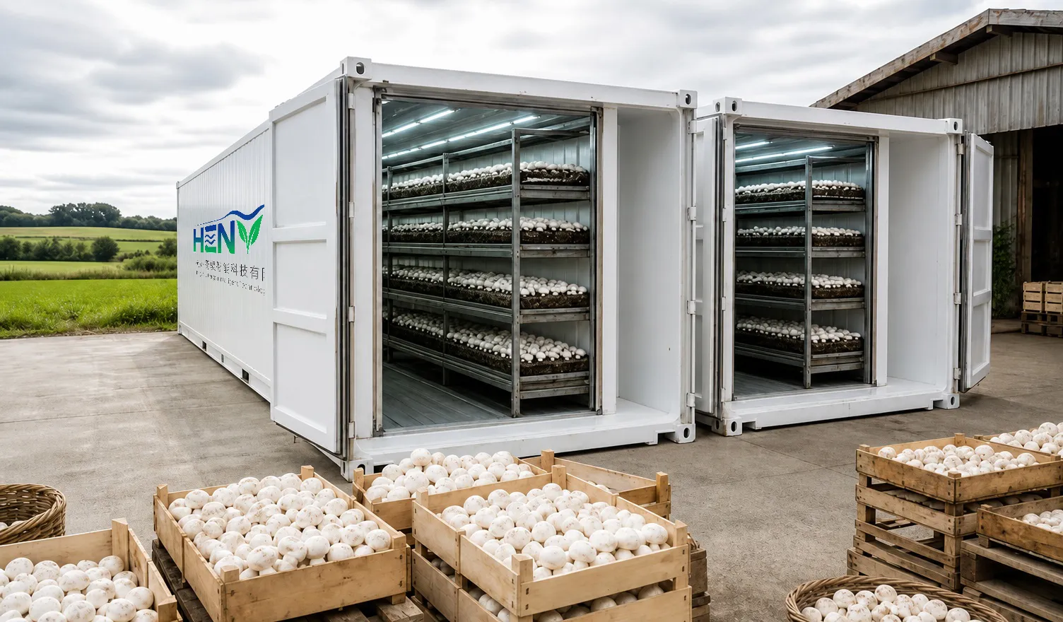 40 ft Vegetable Container Farm Romaine Lettuce Programme